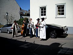 Ofenrohre und Musang